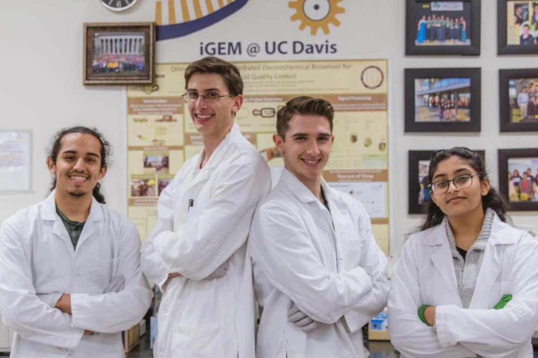 igem.jpg